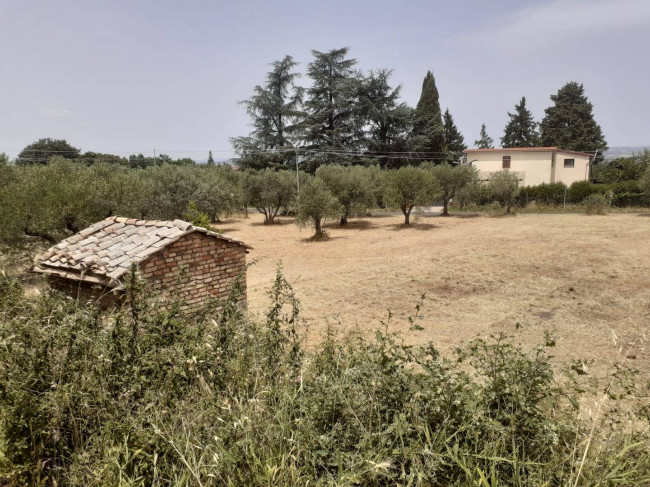 Terreno Agricolo in vendita a Viterbo