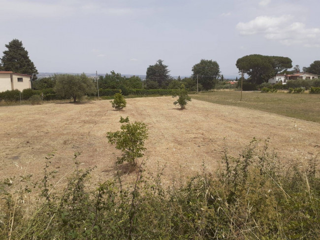 Terreno Agricolo in vendita a Viterbo