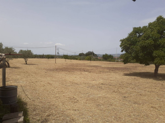 Terreno Agricolo in vendita a Viterbo