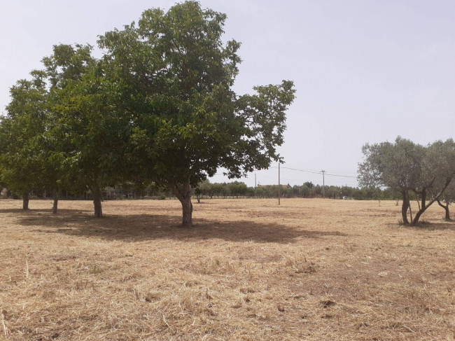 Terreno Agricolo in vendita a Viterbo