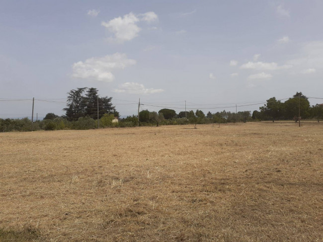 Terreno Agricolo in vendita a Viterbo