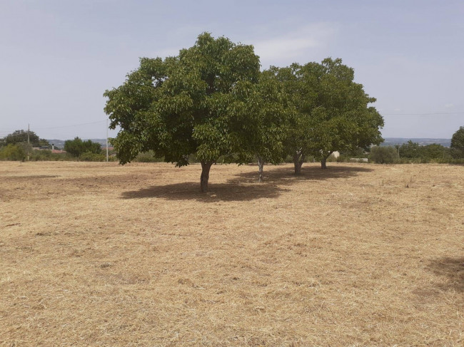 Terreno Agricolo in vendita a Viterbo