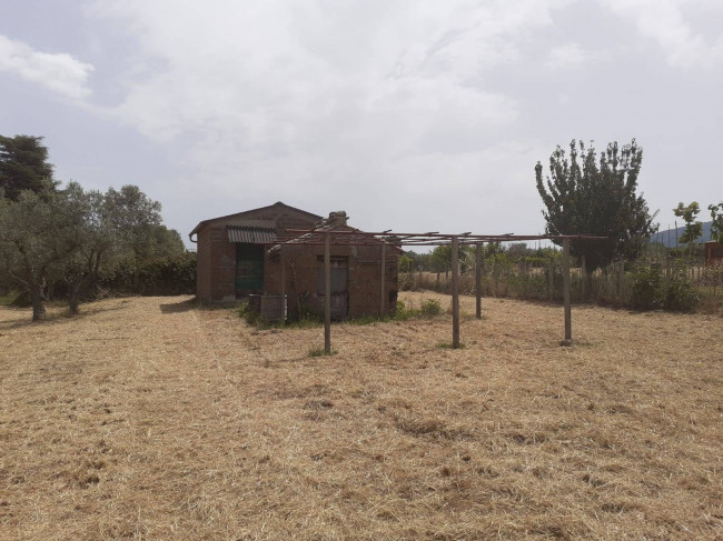 Terreno Agricolo in vendita a Viterbo