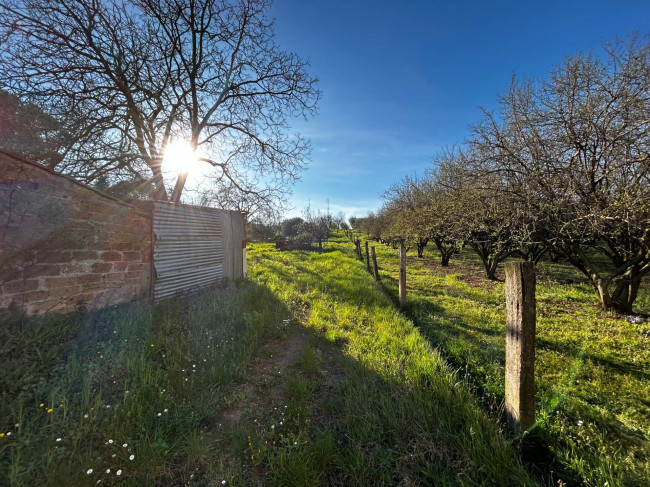 Appartamento in vendita a Vasanello