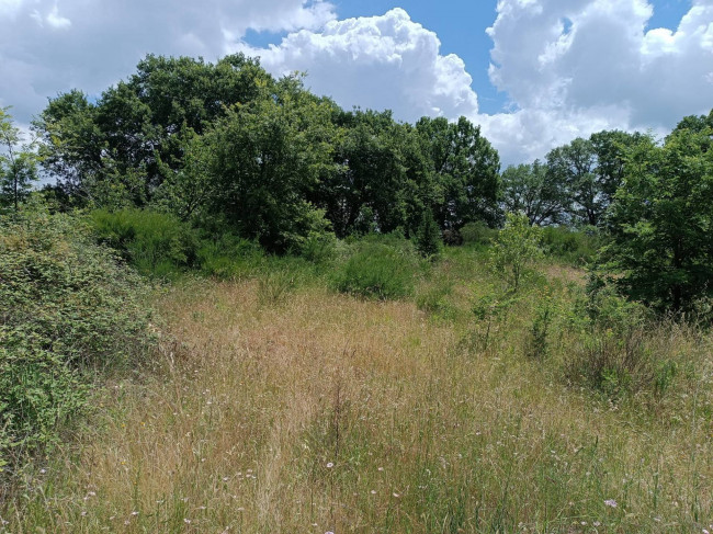 Appartamento in vendita a Celleno