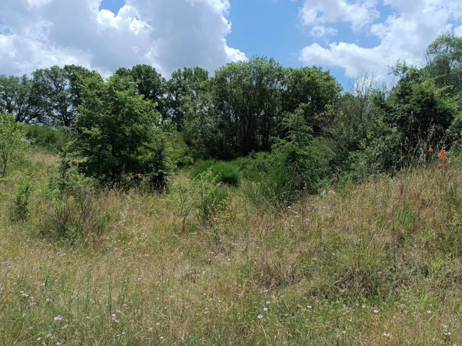 Appartamento in vendita a Celleno