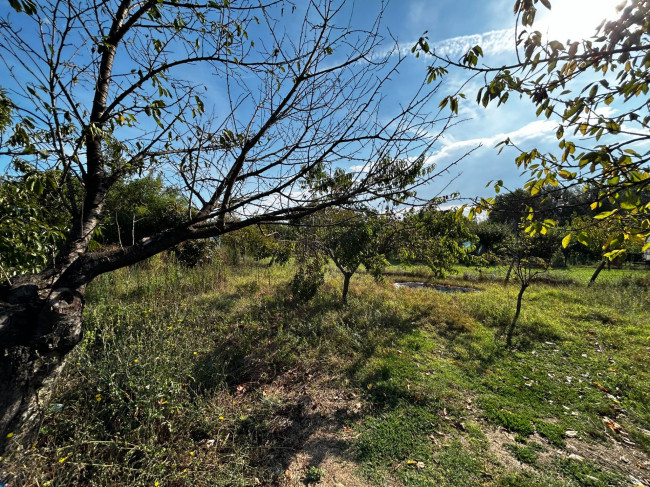 Terreno Agricolo in vendita a Orte