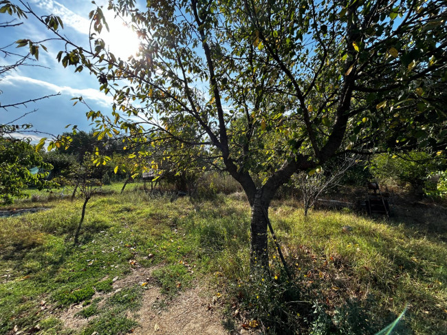 Terreno Agricolo in vendita a Orte