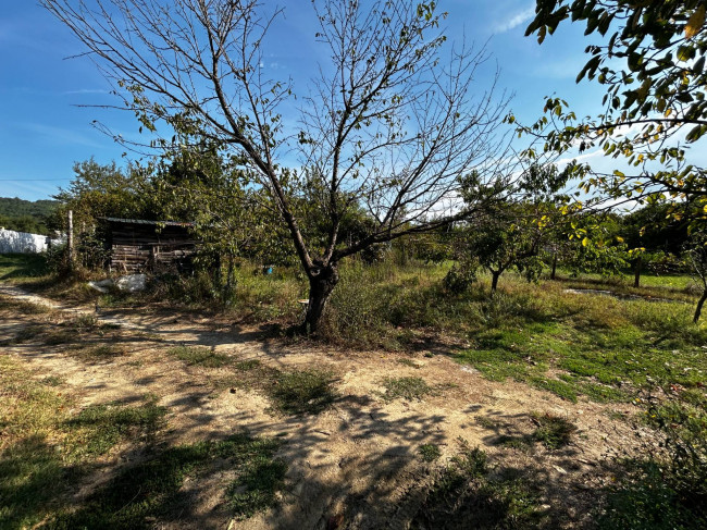 Terreno Agricolo in vendita a Orte