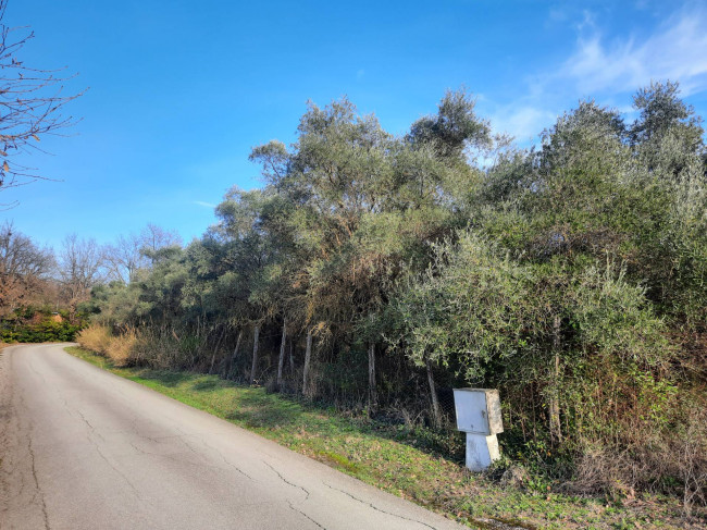 Terreno edificabile in vendita a Orte