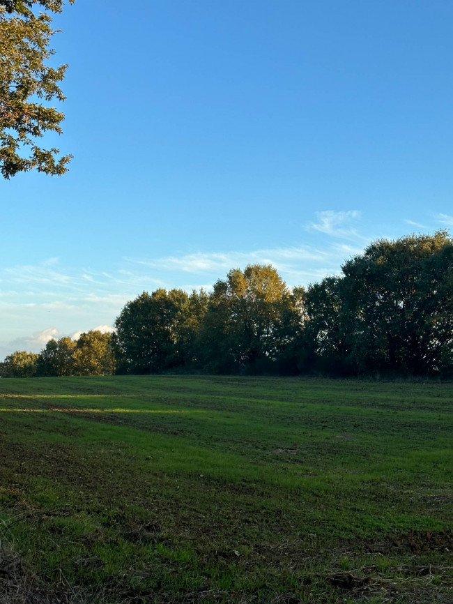 Terreno Agricolo in vendita a Bassano in Teverina