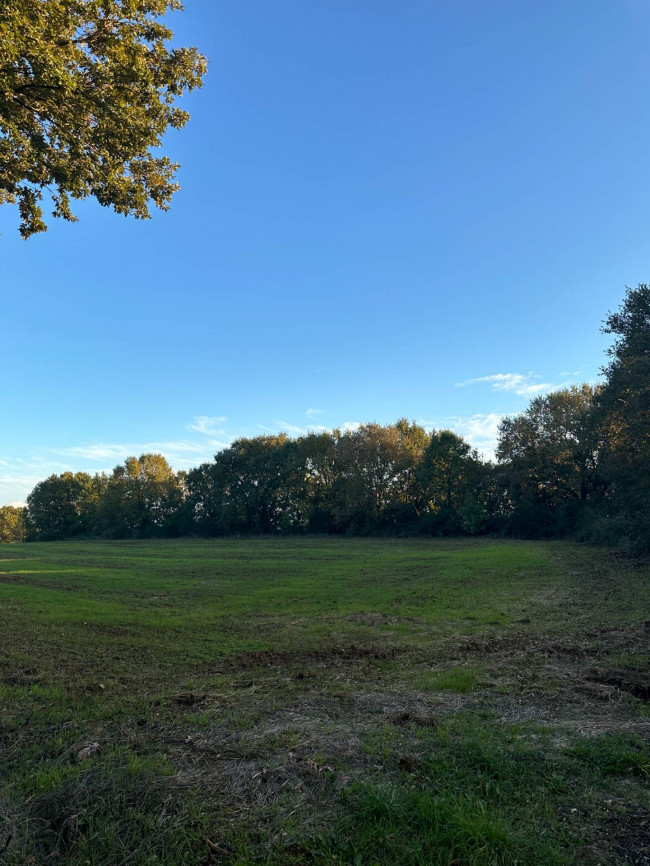 Terreno Agricolo in vendita a Bassano in Teverina