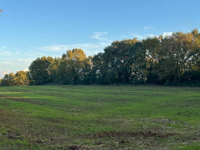 Terreno Agricolo in vendita a Bassano in Teverina