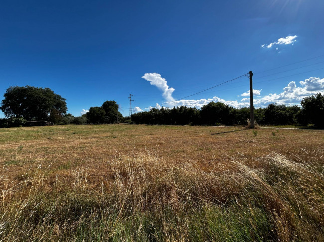 Terreno Agricolo in vendita a Vasanello
