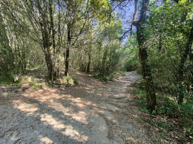 Terreno Agricolo in vendita a Amelia