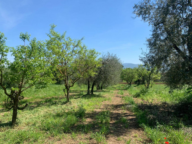 Rustico in vendita a Graffignano