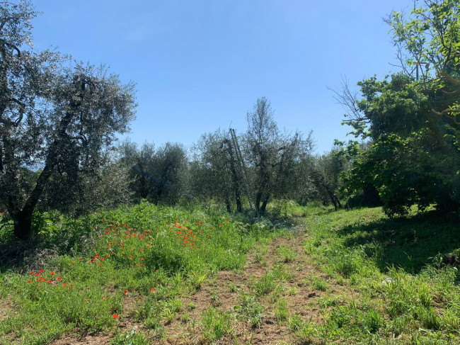 Rustico in vendita a Graffignano