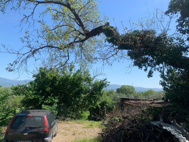 Rustico in vendita a Graffignano