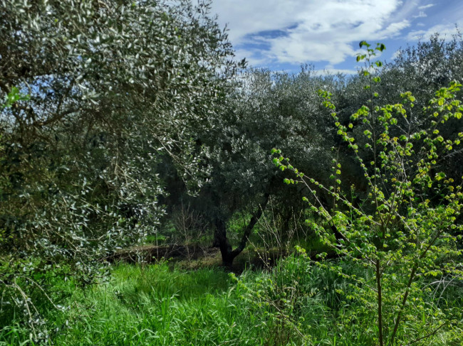 Casa singola in vendita a Graffignano