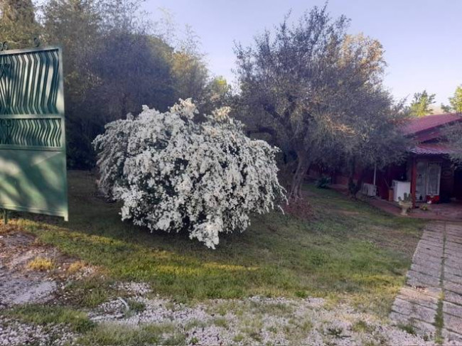 Casa singola in vendita a Vitorchiano
