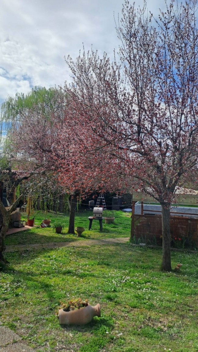 Casa singola in vendita a Vitorchiano