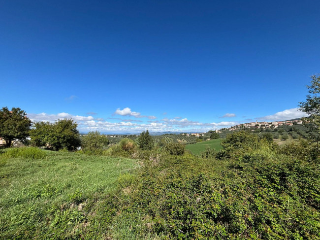 Casa singola in vendita a Montecchio