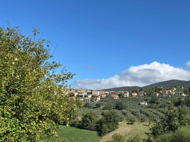 Casa singola in vendita a Montecchio