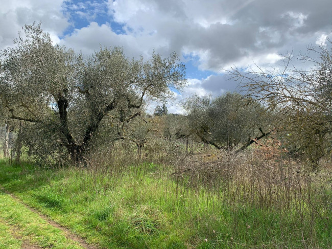 Terreno Agricolo in vendita a Vitorchiano
