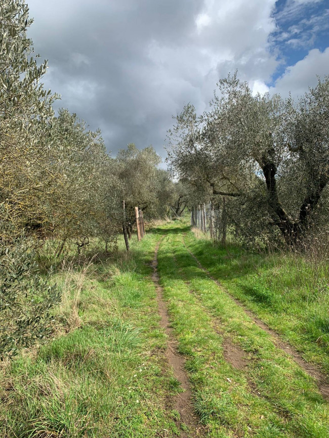 Terreno Agricolo in vendita a Vitorchiano
