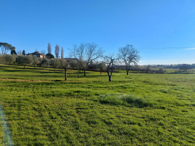 Terreno Agricolo in vendita a Celleno