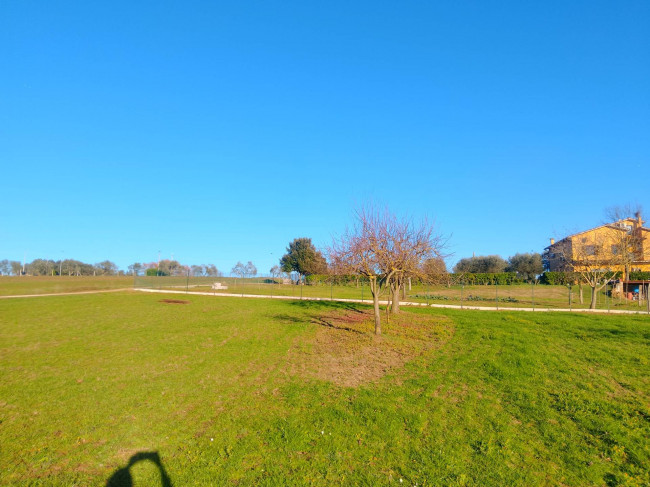Terreno Agricolo in vendita a Celleno