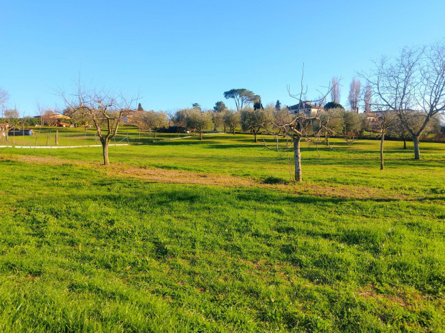 Terreno Agricolo in vendita a Celleno