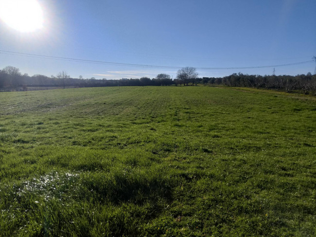 Terreno Agricolo in vendita a Celleno