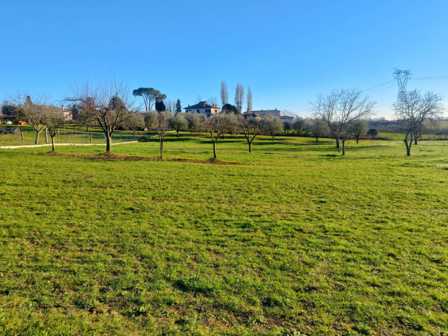Terreno Agricolo in vendita a Celleno