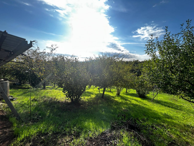 Rustico in vendita a Bassano in Teverina