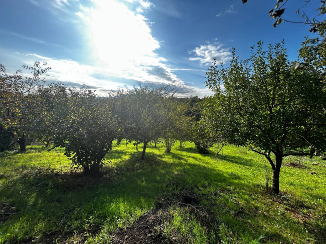 Rustico in vendita a Bassano in Teverina