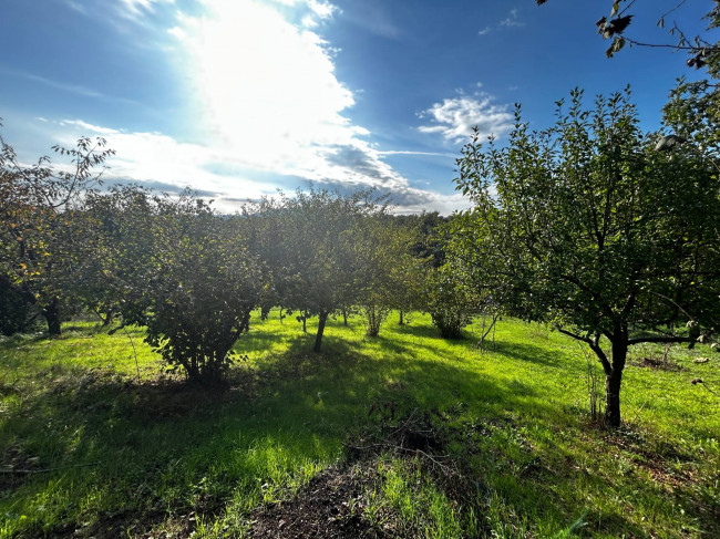 Rustico in vendita a Bassano in Teverina