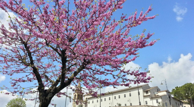 Locale commerciale in vendita a Amelia