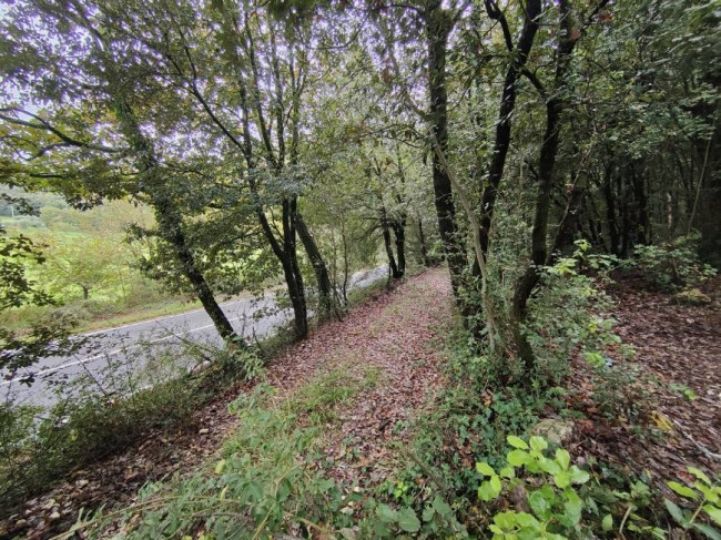 Terreno Agricolo in vendita a Amelia