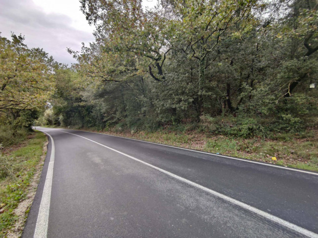 Terreno Agricolo in vendita a Amelia