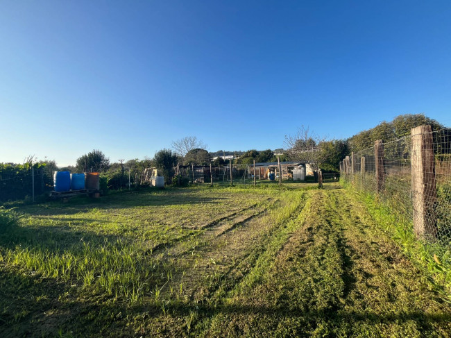 Terreno Agricolo in vendita a Orte