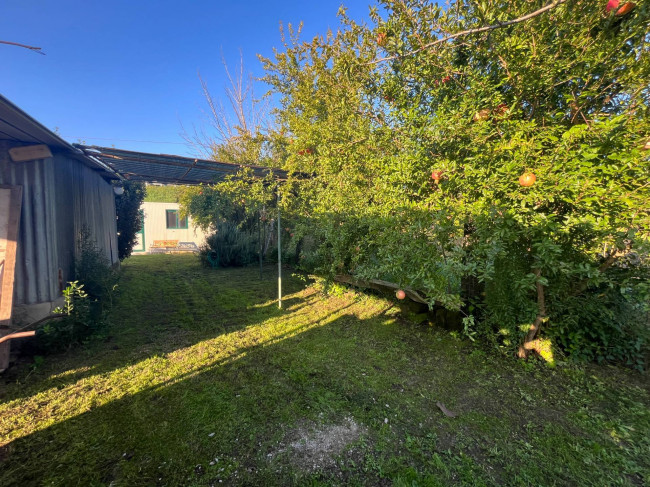 Terreno Agricolo in vendita a Orte