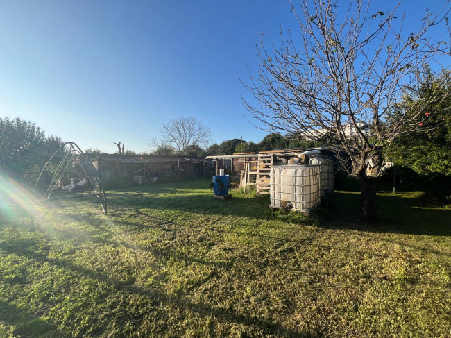 Terreno Agricolo in vendita a Orte