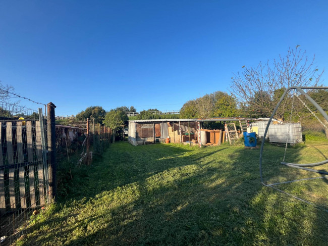 Terreno Agricolo in vendita a Orte