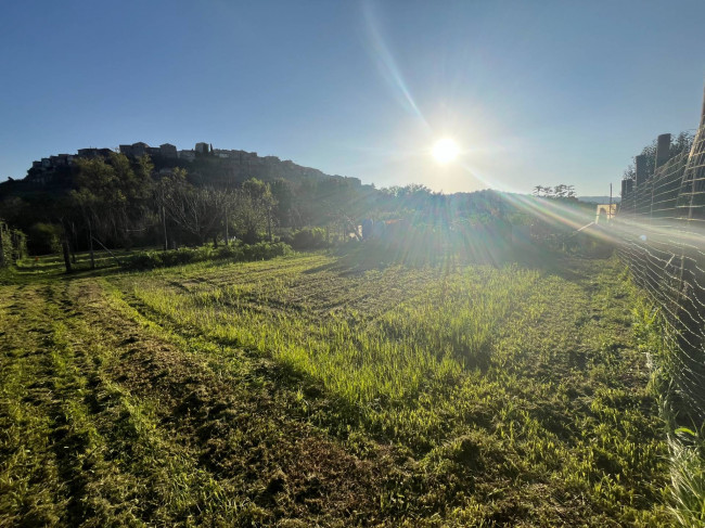Terreno Agricolo in vendita a Orte