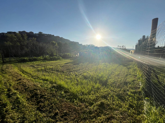 Terreno Agricolo in vendita a Orte