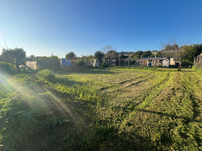 Terreno Agricolo in vendita a Orte