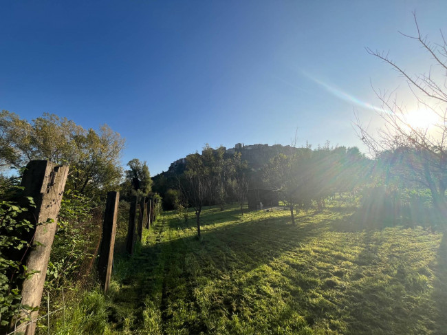 Terreno Agricolo in vendita a Orte