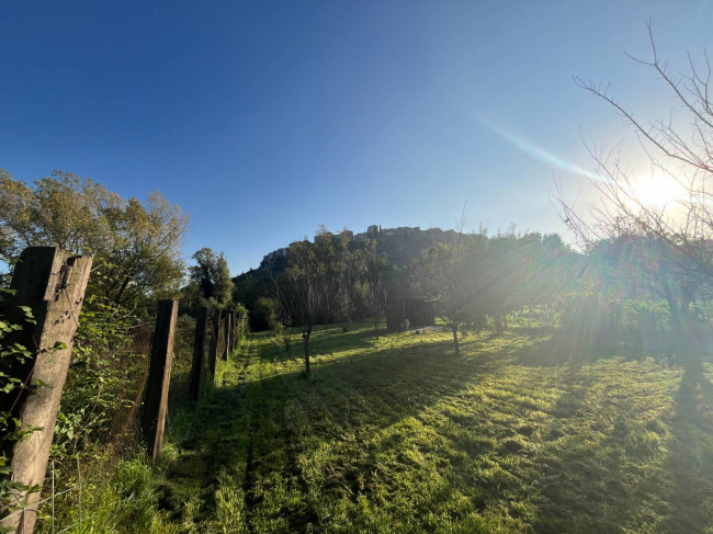 Terreno Agricolo in vendita a Orte