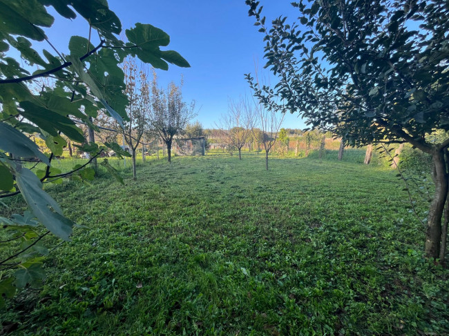 Terreno Agricolo in vendita a Orte